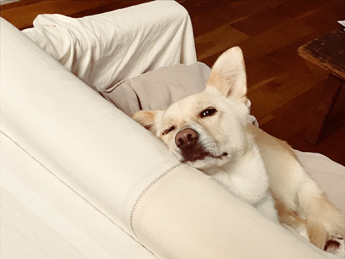 f:id:iengmwk:20171020105022j:image