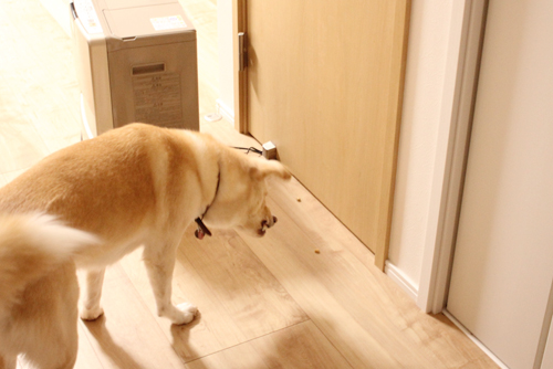 f:id:iengmwk:20180204130027j:image f:id:iengmwk:20180204130027j:image