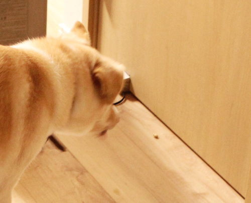 f:id:iengmwk:20180204130030j:image f:id:iengmwk:20180204130030j:image