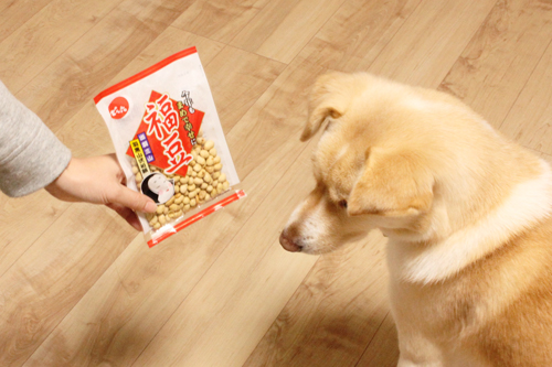 f:id:iengmwk:20180204130044j:image f:id:iengmwk:20180204130044j:image