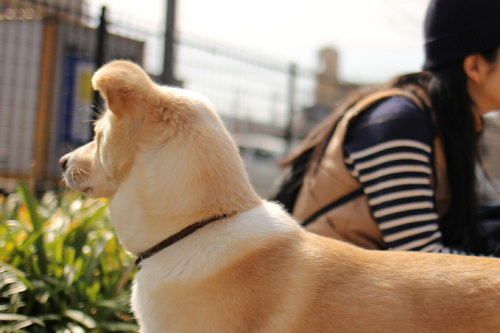 f:id:iengmwk:20180219145500j:image f:id:iengmwk:20180219145500j:image