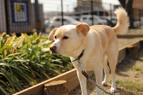 f:id:iengmwk:20180219145512j:image f:id:iengmwk:20180219145512j:image