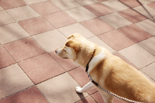 f:id:iengmwk:20180219145518j:image f:id:iengmwk:20180219145518j:image