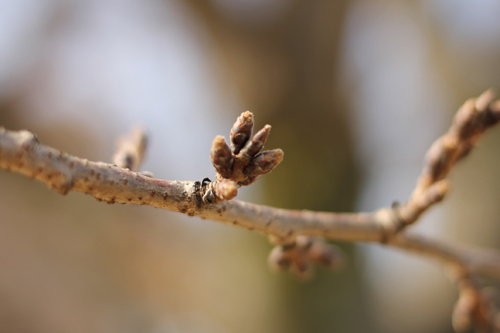 f:id:iengmwk:20180219145522j:image f:id:iengmwk:20180219145522j:image