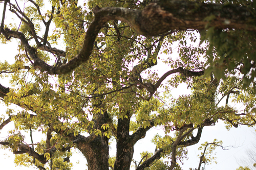 f:id:iengmwk:20180219145524j:image f:id:iengmwk:20180219145524j:image