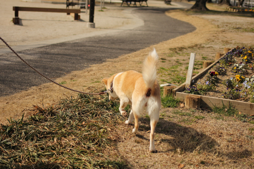 f:id:iengmwk:20180219145527j:image f:id:iengmwk:20180219145527j:image