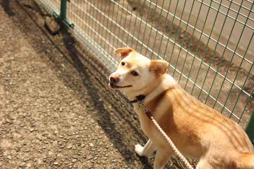 f:id:iengmwk:20180219145534j:image f:id:iengmwk:20180219145534j:image