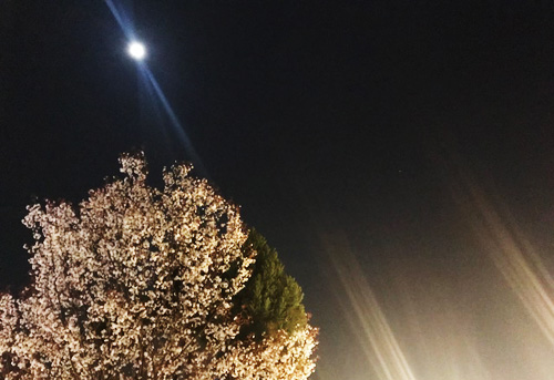 f:id:iengmwk:20180326100202j:image f:id:iengmwk:20180326100202j:image
