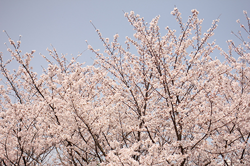 f:id:iengmwk:20180330170623j:image