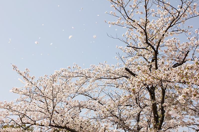 f:id:iengmwk:20180330170714j:image