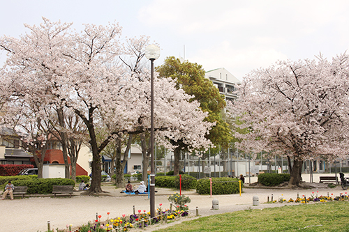 f:id:iengmwk:20180402085908j:image