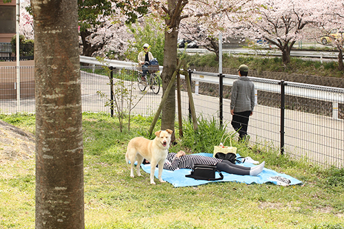 f:id:iengmwk:20180402085916j:image
