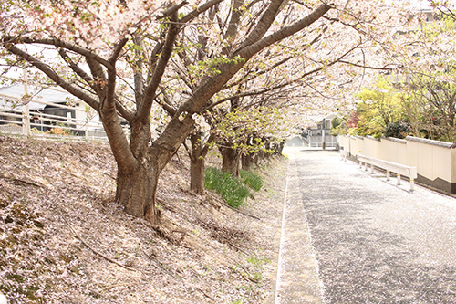 f:id:iengmwk:20180402085949j:image