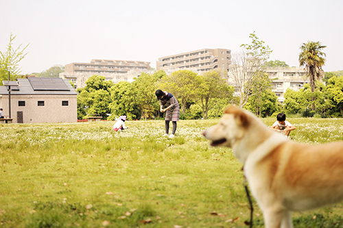 f:id:iengmwk:20180501184636j:image f:id:iengmwk:20180501184636j:image