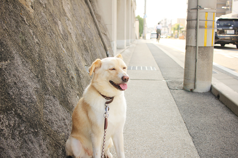 f:id:iengmwk:20180615103507j:image