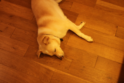 f:id:iengmwk:20180712145902j:image