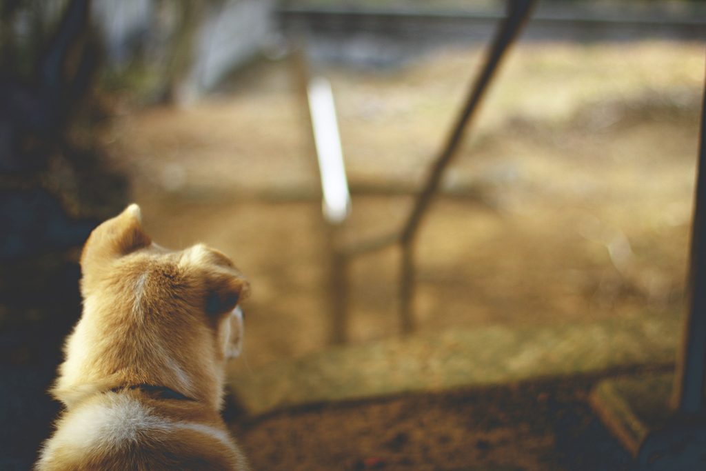 f:id:iengmwk:20190212142718j:plain