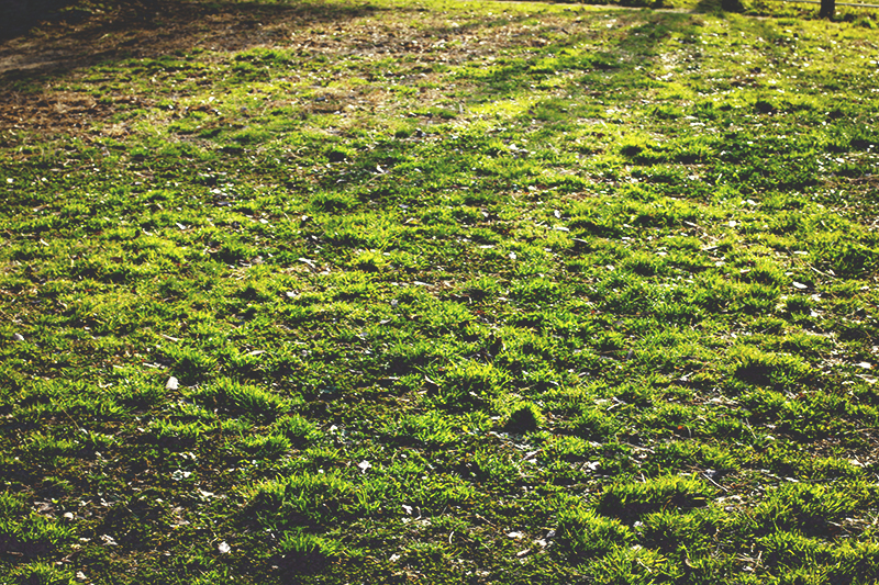 f:id:iengmwk:20190212142720j:plain