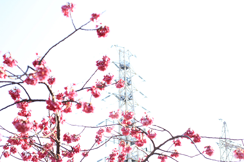 f:id:iengmwk:20190315083859j:plain