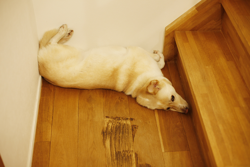 f:id:iengmwk:20190612172413j:plain