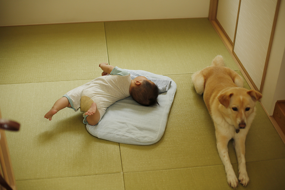f:id:iengmwk:20190618152325j:plain