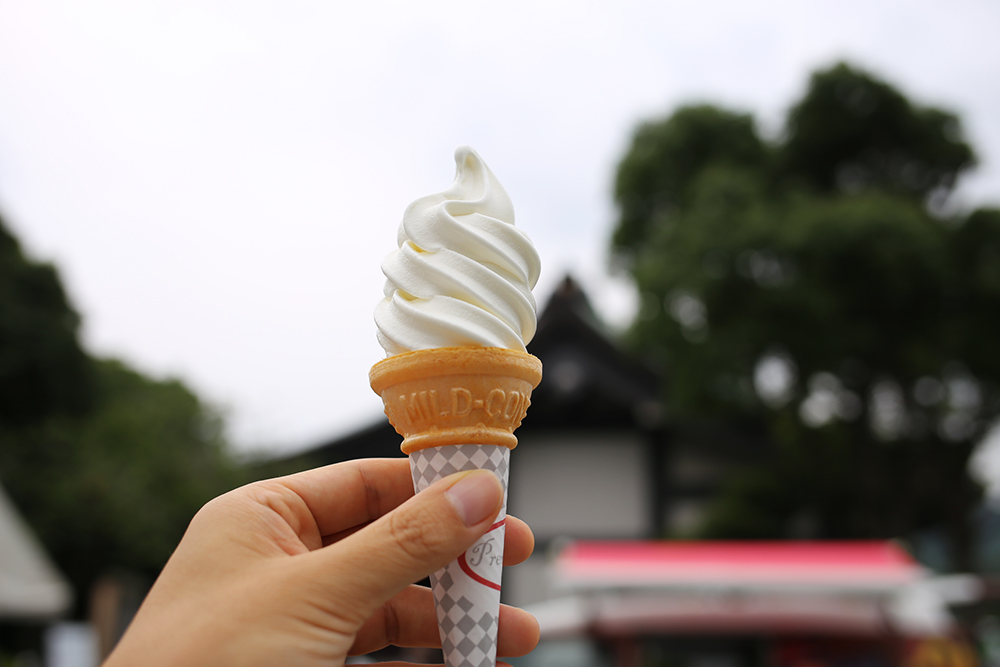 f:id:iengmwk:20190825173350j:plain