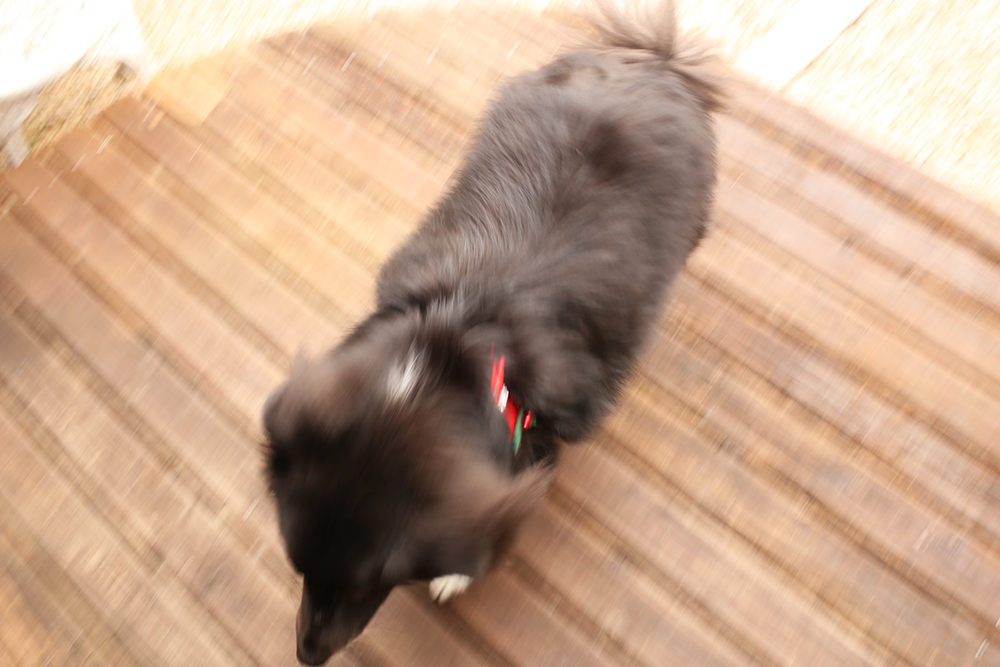 f:id:iengmwk:20200129174840j:plain