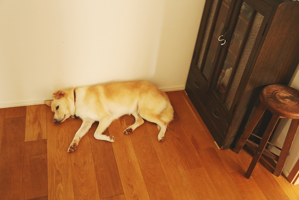f:id:iengmwk:20200814095102j:plain
