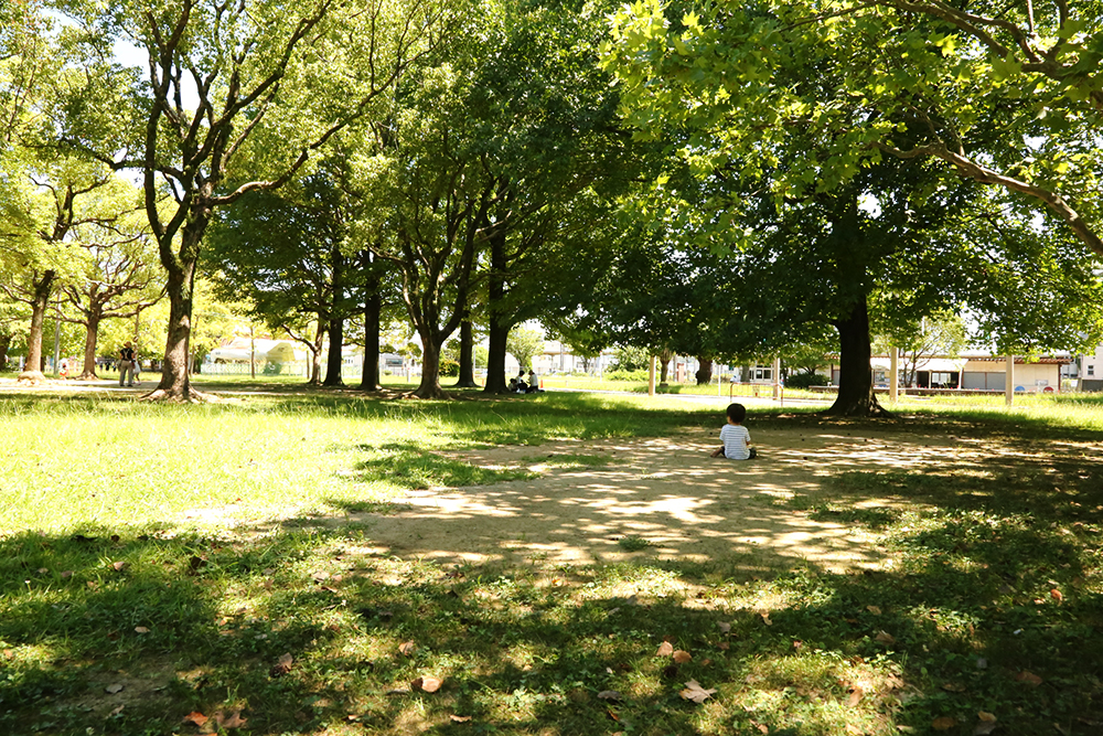 f:id:iengmwk:20200817084045j:plain