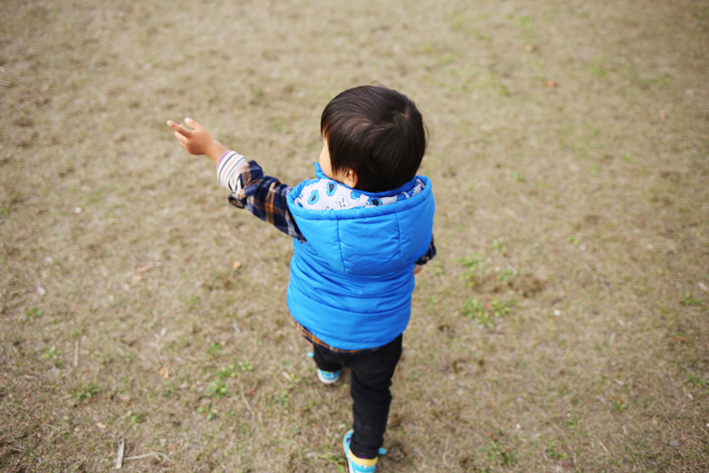 f:id:iengmwk:20201211110153j:plain