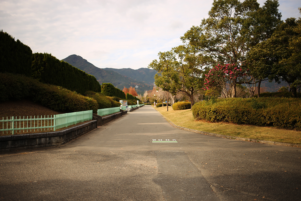 f:id:iengmwk:20201211110204j:plain