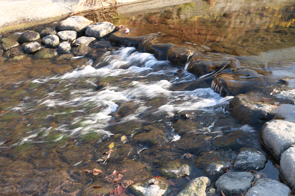 f:id:iengmwk:20201223115739j:plain