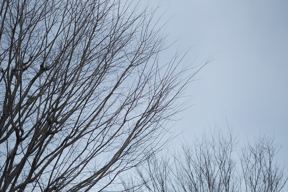 f:id:iengmwk:20210308094348j:plain