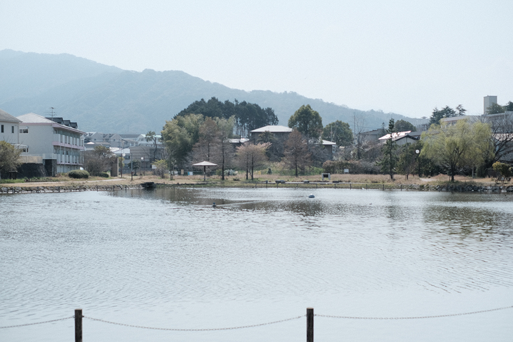 f:id:iengmwk:20210311071632j:plain