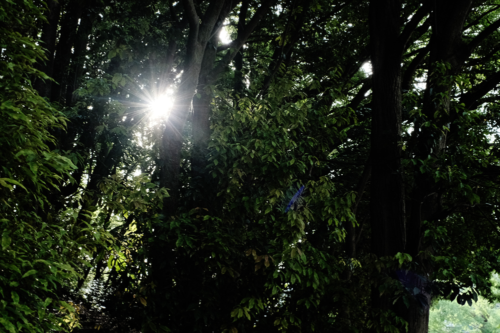 f:id:iengmwk:20210531092658j:plain