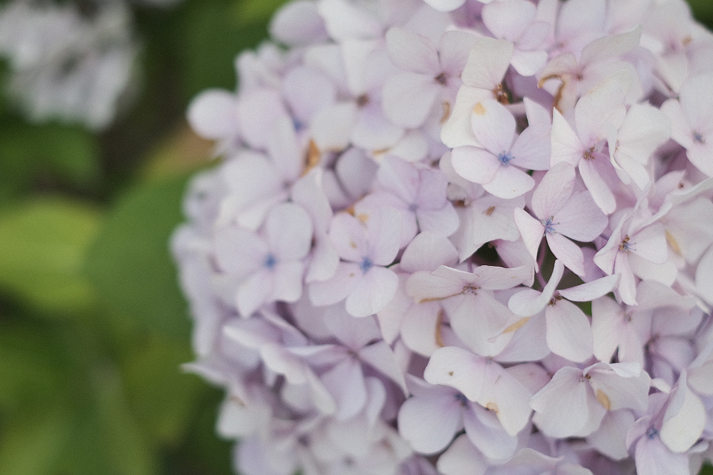 f:id:iengmwk:20210623075440j:plain