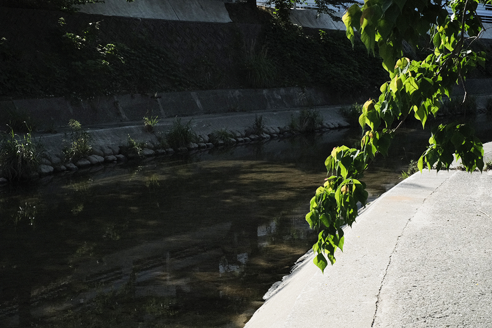 f:id:iengmwk:20210628060636j:plain