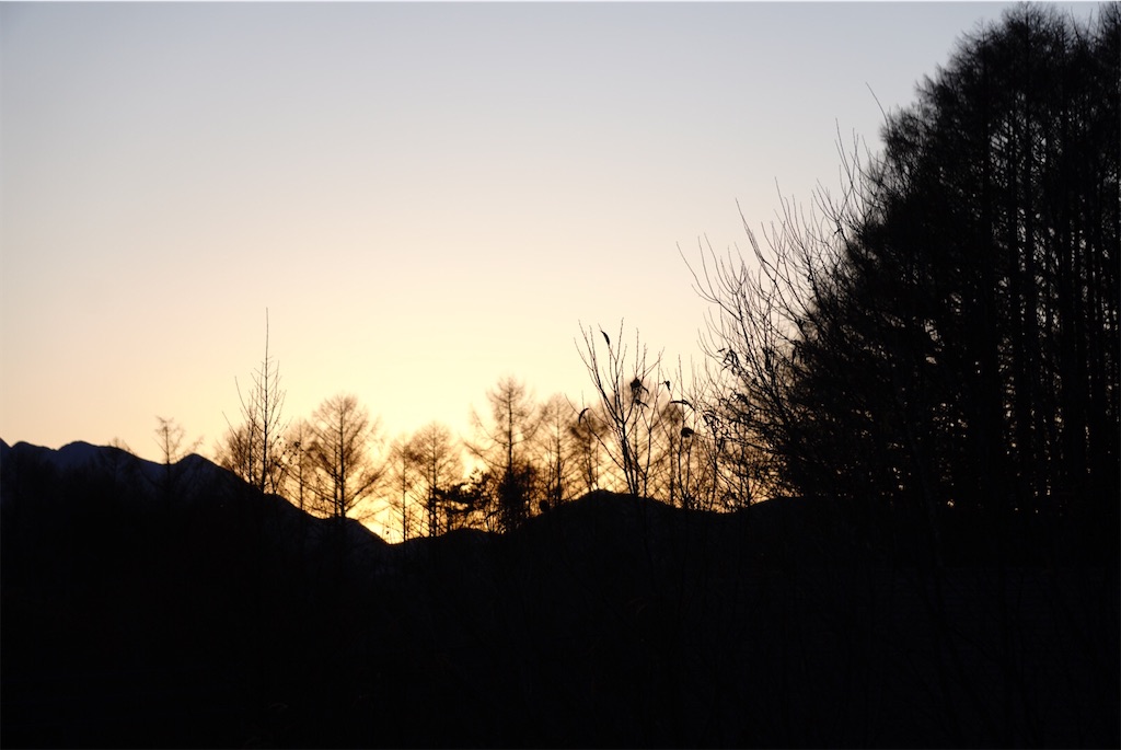 f:id:ieotateru:20201204224909j:image