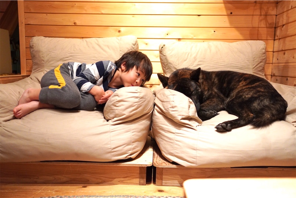 f:id:ieotateru:20201204232354j:image