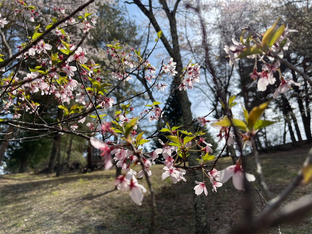 f:id:ieotateru:20210409163227j:image