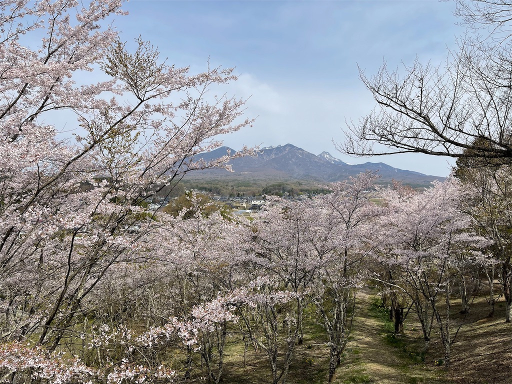 f:id:ieotateru:20210409163231j:image