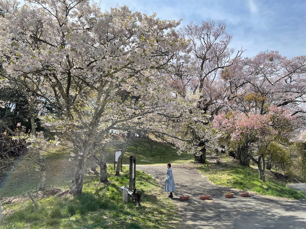 f:id:ieotateru:20210409163235j:image