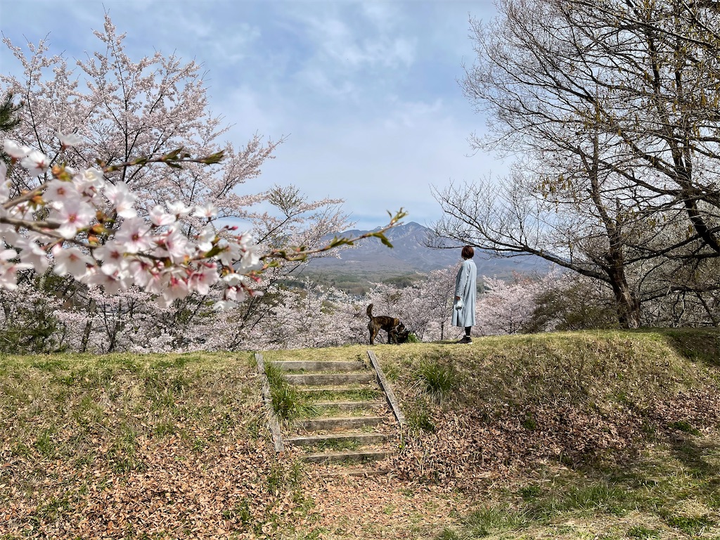 f:id:ieotateru:20210409164020j:image