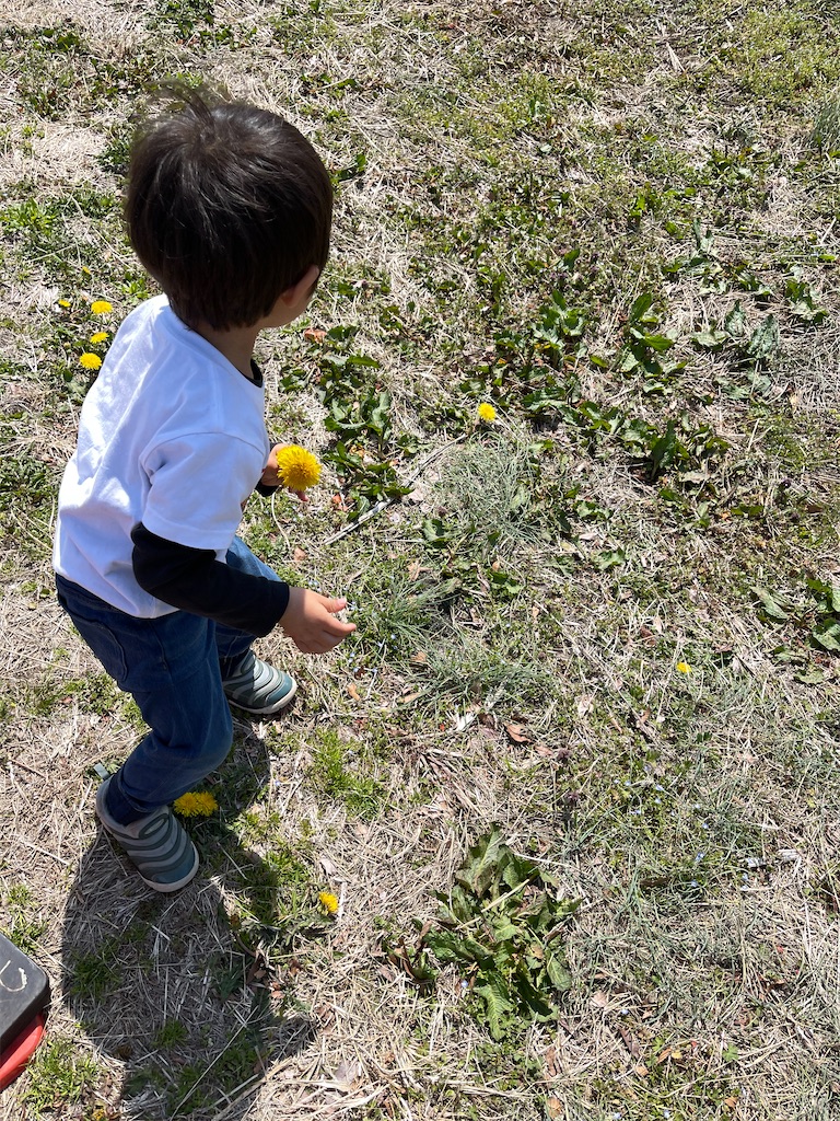 f:id:ieotateru:20210409164230j:image