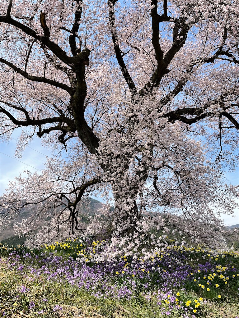 f:id:ieotateru:20210409164237j:image