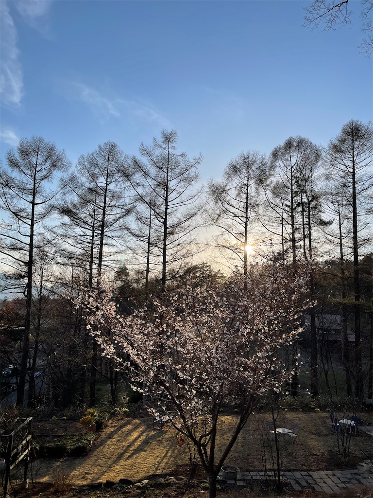f:id:ieotateru:20210409182939j:image