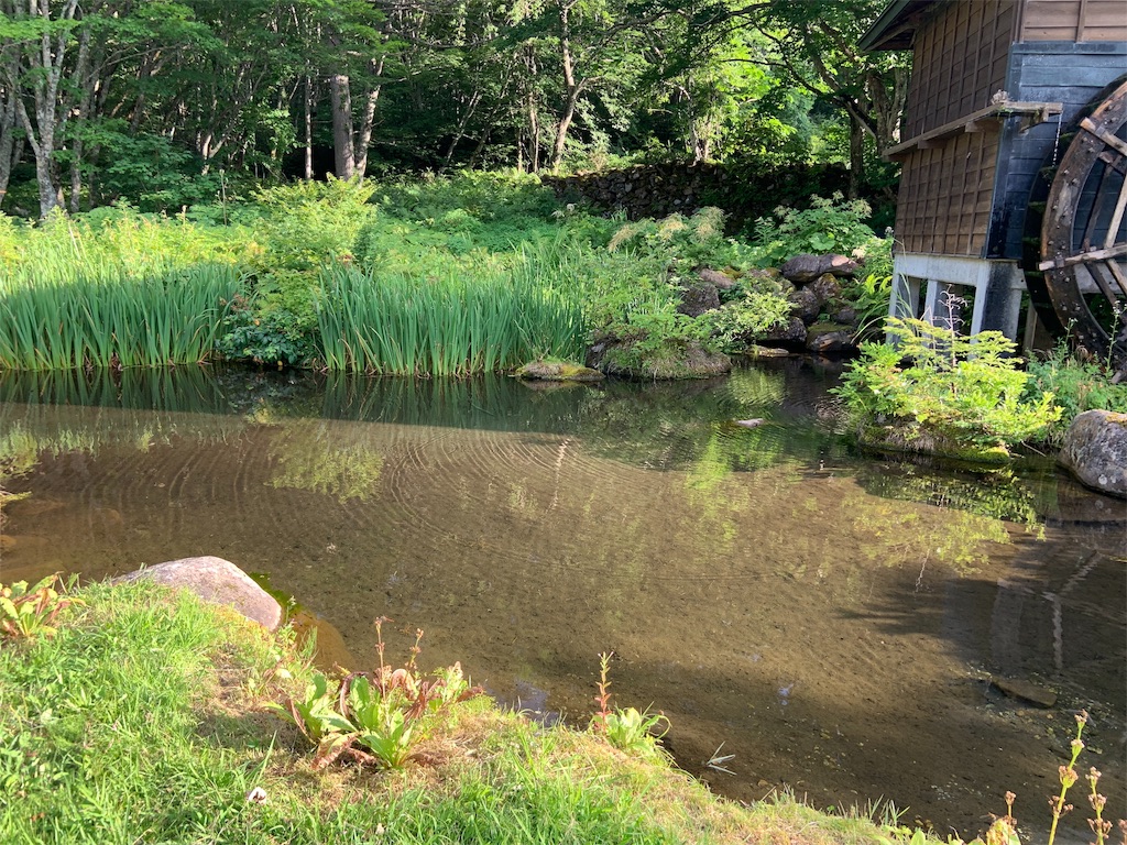 f:id:iepiyuu:20190804203629j:image