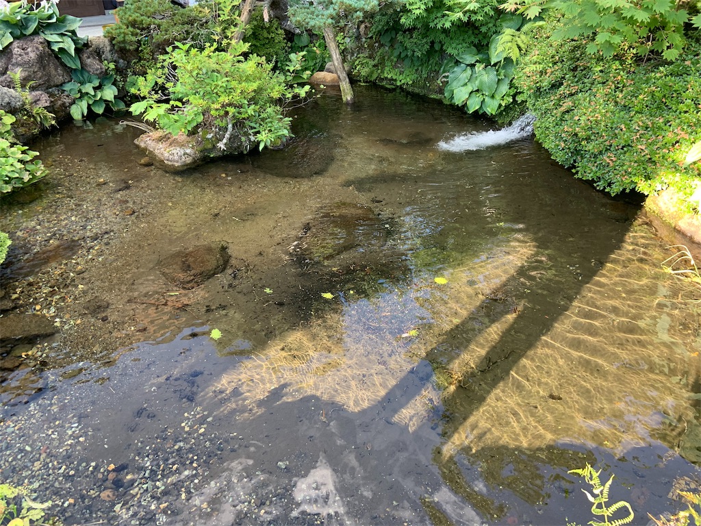 f:id:iepiyuu:20190804203640j:image
