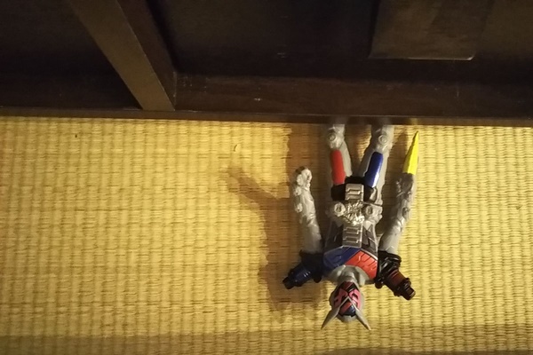 f:id:ietatemama:20200517173510j:plain