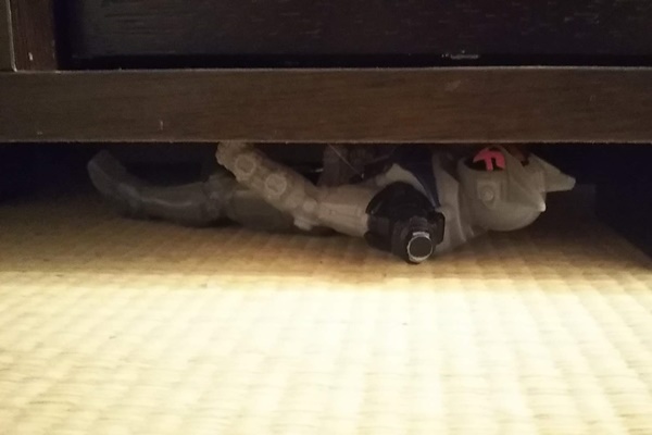 f:id:ietatemama:20200517173723j:plain